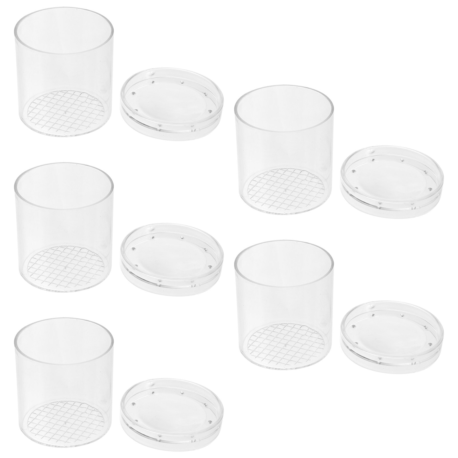 5Pcs Kids Insect Observation B - огляд і ціна Science Toys