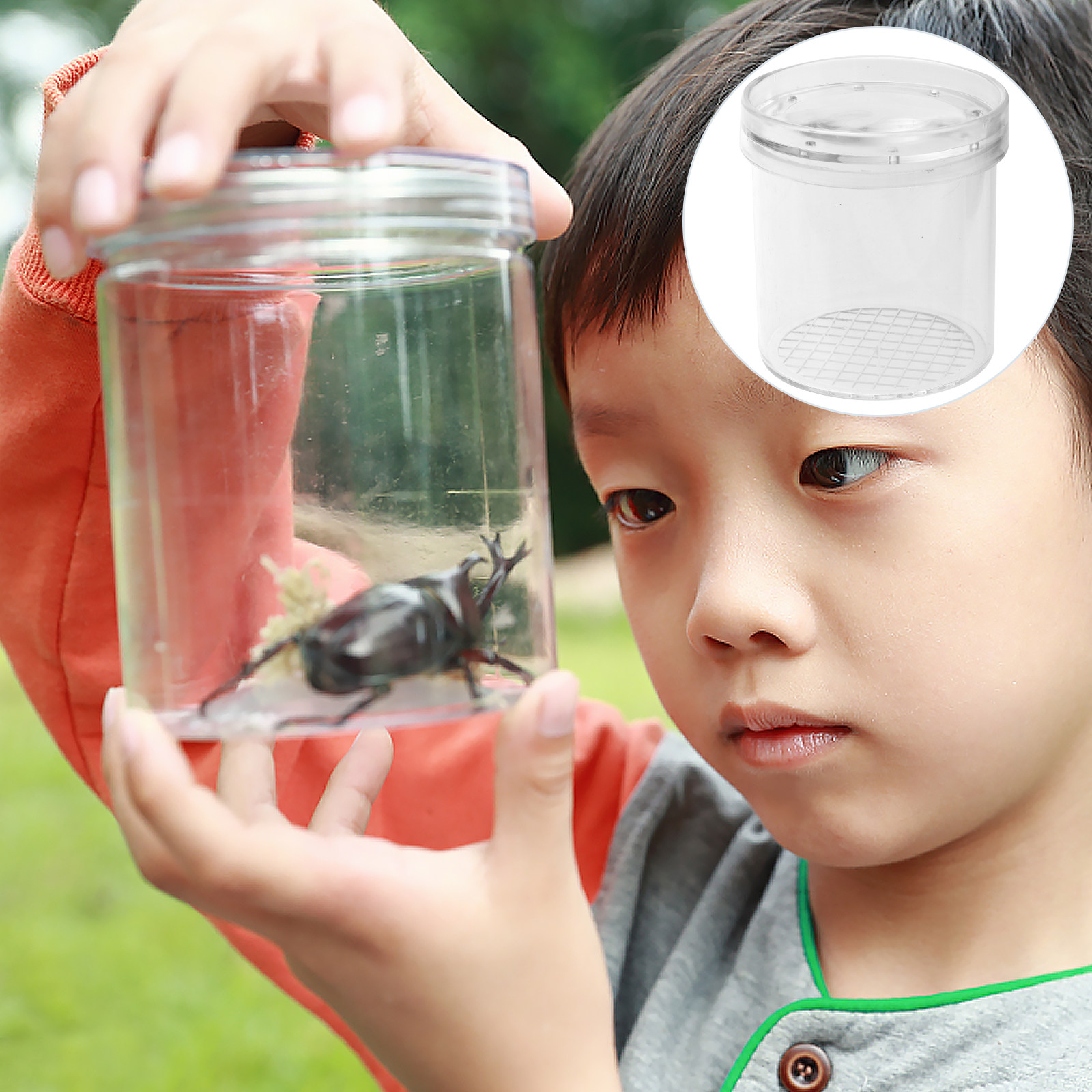 5Pcs Kids Insect Observation B - огляд і ціна Science Toys