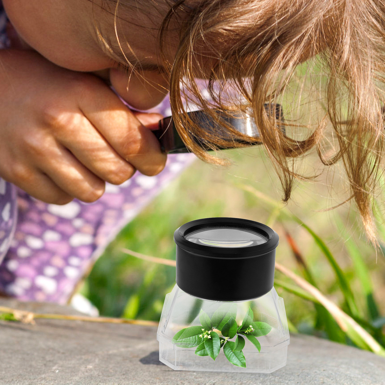2Pcs Insect Magnifier Box Plas - огляд і ціна Science Toys