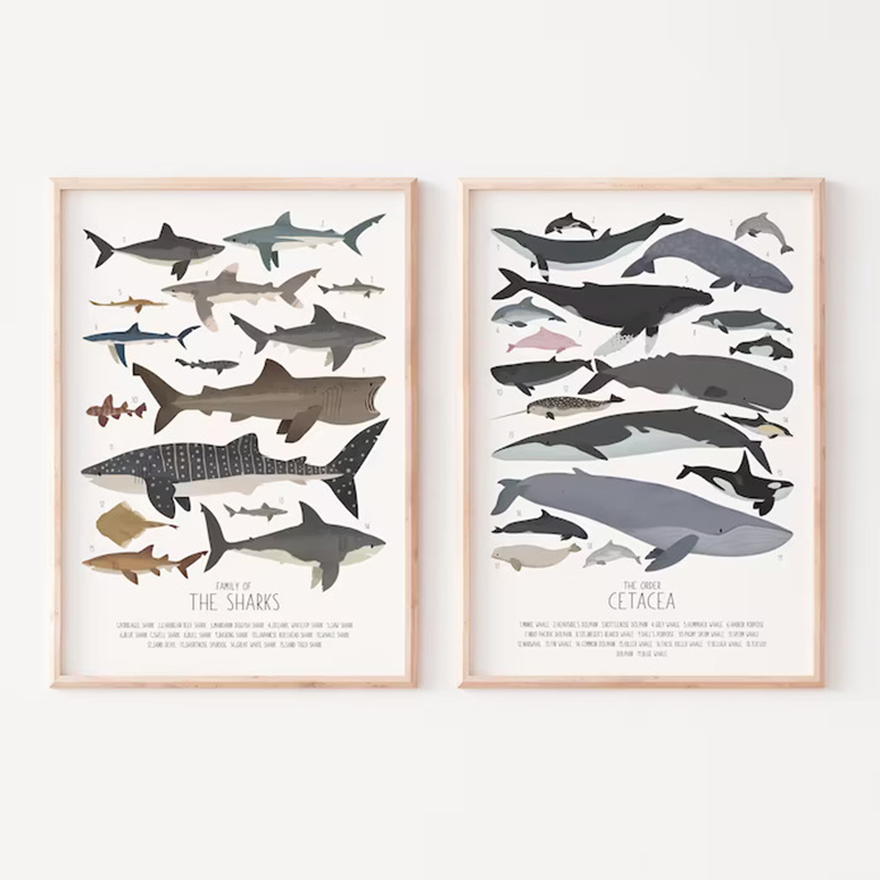 Deep-Sea Fish and Sharks Scien - огляд і ціна Science Nursery